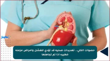 حصوات الكلى.. تهديدات صحية قد تؤدي للفشل وأمراض مزمنة خطيرة إذا تم تجاهلها
